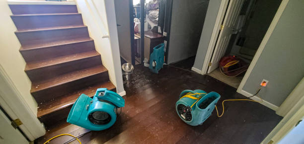 Best Fire Damage Restoration  in Lordsburg, NM