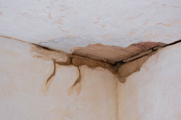 Best Commercial water damage restoration  in Lordsburg, NM