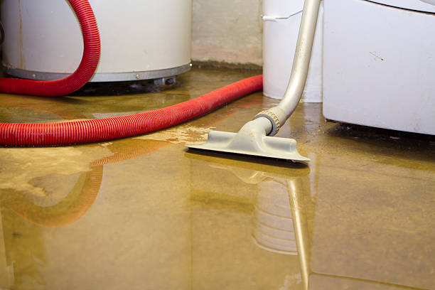 Best Water damage restoration services  in Lordsburg, NM