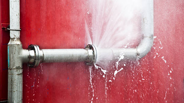Best Flood damage cleanup  in Lordsburg, NM